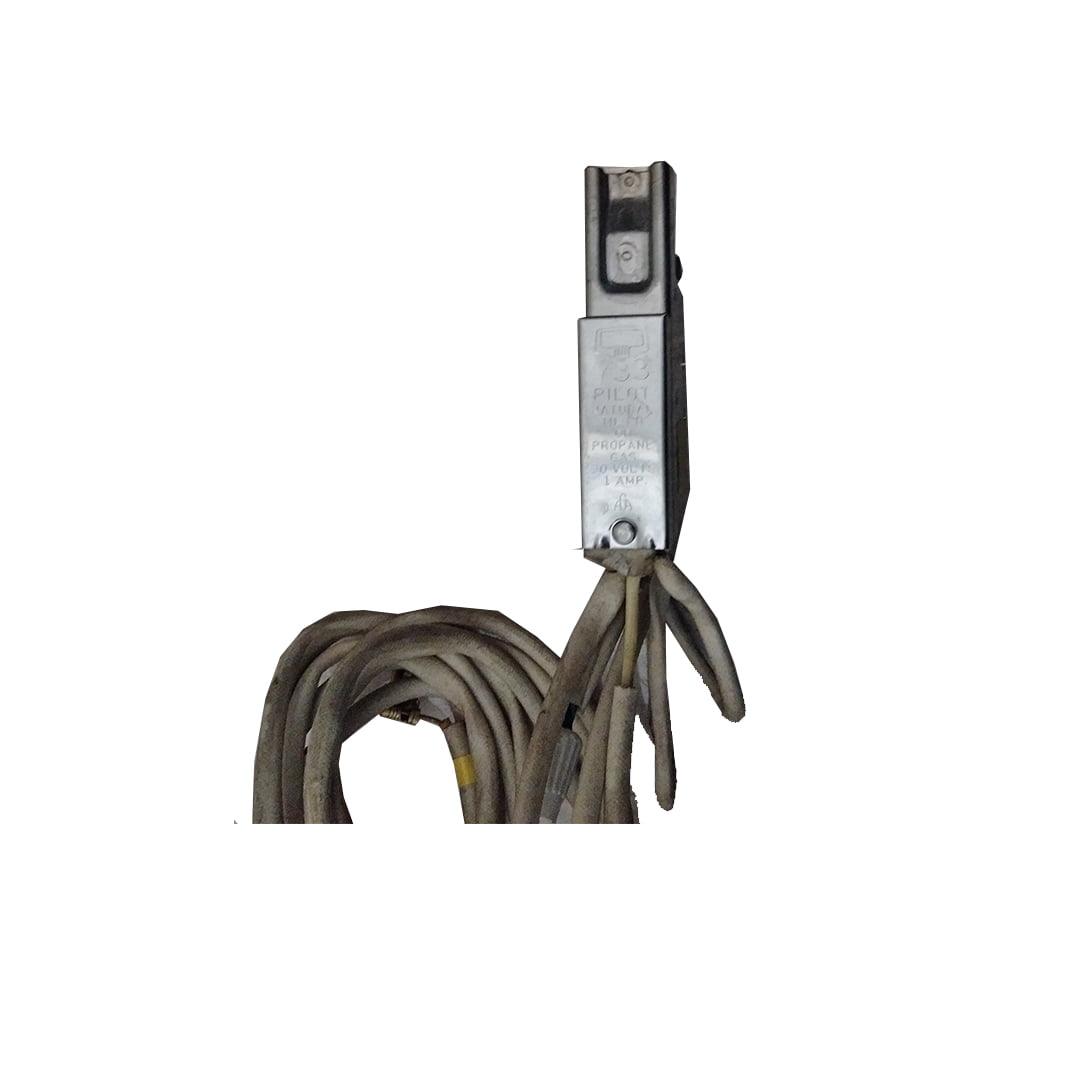 (1) پیلوت (PILOT NATURAL MIXED OR PROPANE GAS 30 VOLTS 1 AMP)